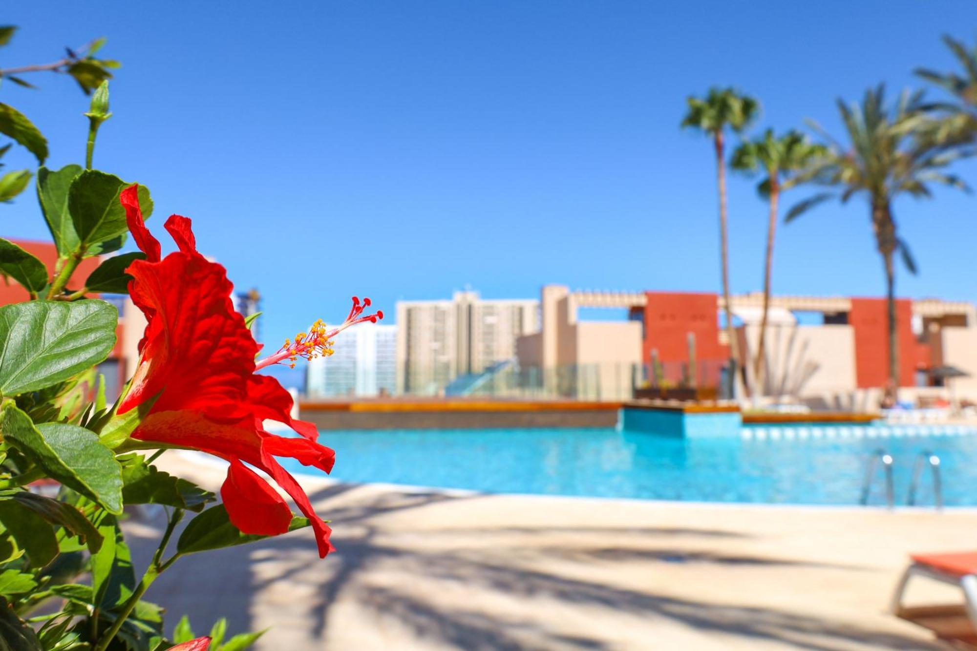 Relax In Paraiso Playa Paraiso  Exterior photo